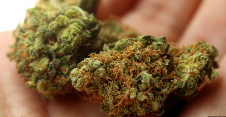segun-estudio-hombres-que-consumen-marihuana-producen-semen-de-mejor-calidad